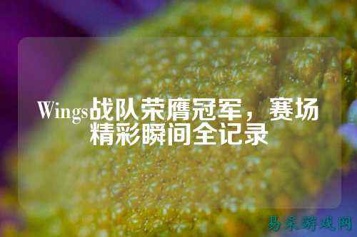 Wings战队荣膺冠军，赛场精彩瞬间全记录