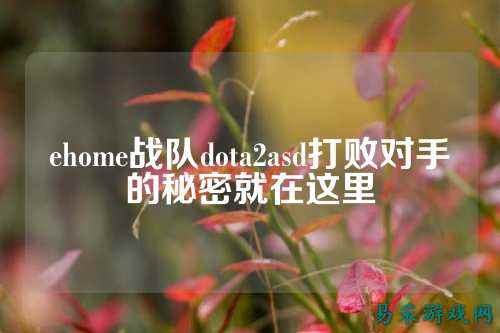 ehome战队dota2asd打败对手的秘密就在这里