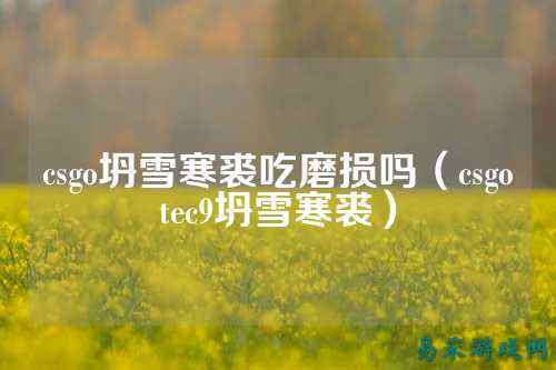 csgo坍雪寒裘吃磨损吗(csgotec9坍雪寒裘)