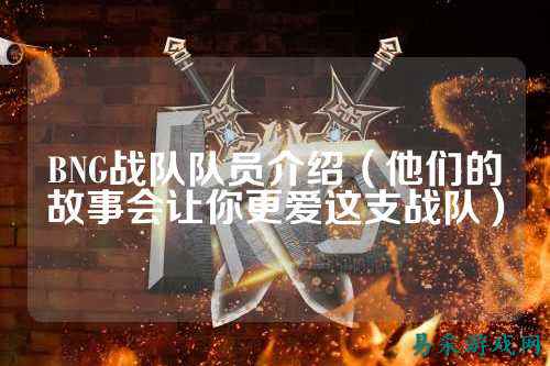 BNG战队队员介绍（他们的故事会让你更爱这支战队）