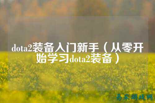 dota2装备入门新手(从零开始学习dota2装备)