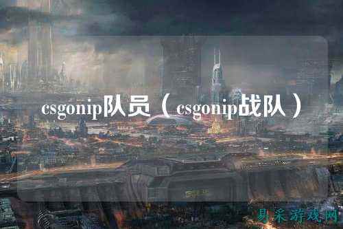csgonip队员(csgonip战队)
