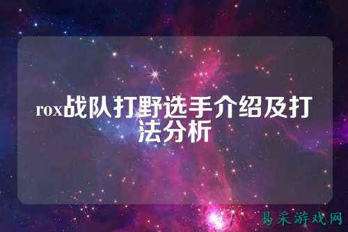 rox战队打野选手介绍及打法分析