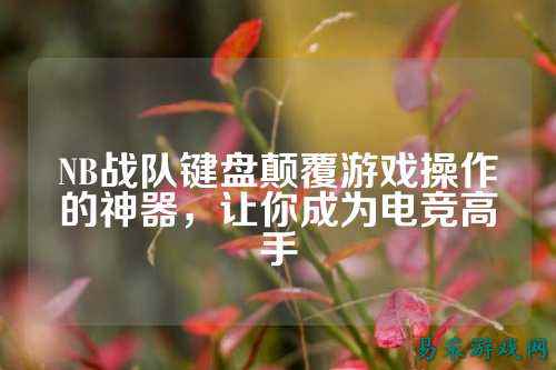 NB战队键盘颠覆游戏操作的神器，让你成为电竞高手