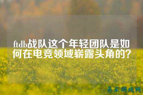 ftdb战队这个年轻团队是如何在电竞领域崭露头角的？