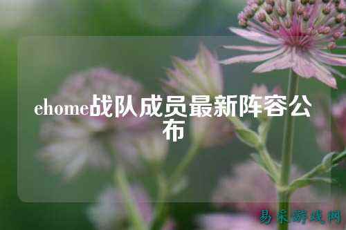 ehome战队成员最新阵容公布