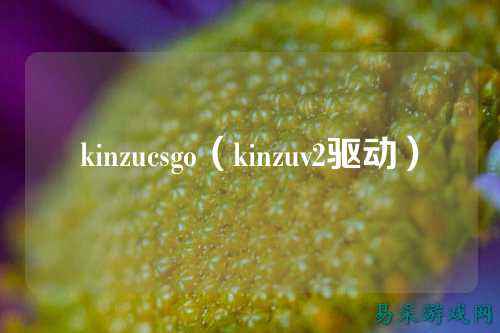 kinzucsgo(kinzuv2驱动)
