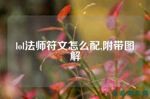 lol法师符文怎么配,附带图解