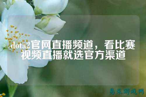 dota2官网直播频道,看比赛视频直播就选官方渠道