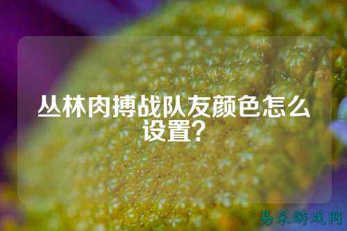 丛林肉搏战队友颜色怎么设置？