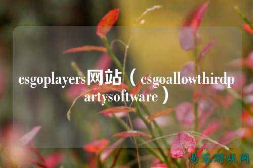 csgoplayers网站(csgoallowthirdpartysoftware)