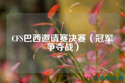 CFS巴西邀请赛决赛(冠军争夺战)