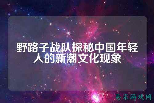 野路子战队探秘中国年轻人的新潮文化现象
