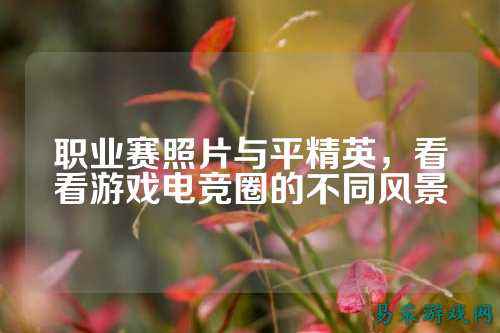 职业赛照片与平精英,看看游戏电竞圈的不同风景