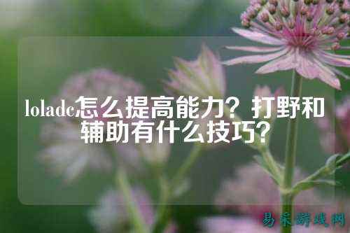 loladc怎么提高能力?打野和辅助有什么技巧?