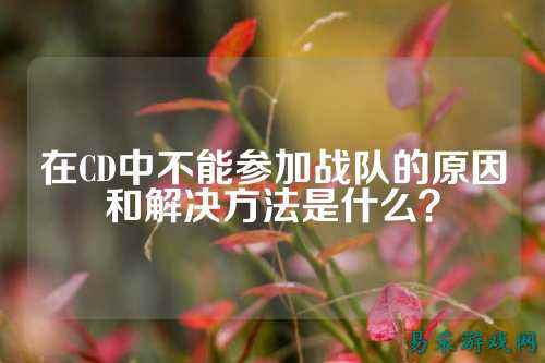 在CD中不能参加战队的原因和解决方法是什么？
