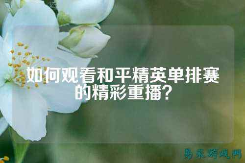 如何观看和平精英单排赛的精彩重播?