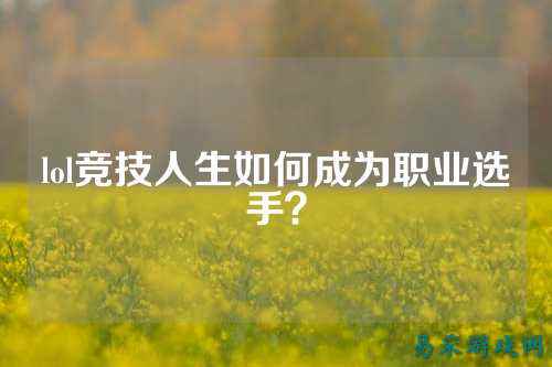 lol竞技人生如何成为职业选手?