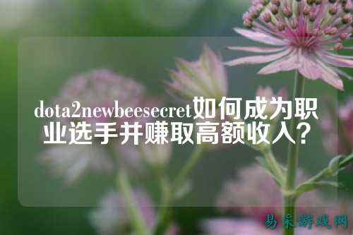 dota2newbeesecret如何成为职业选手并赚取高额收入?