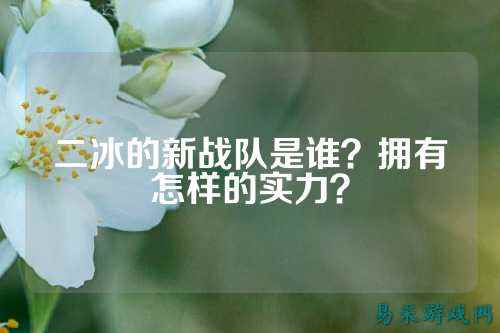 二冰的新战队是谁？拥有怎样的实力？