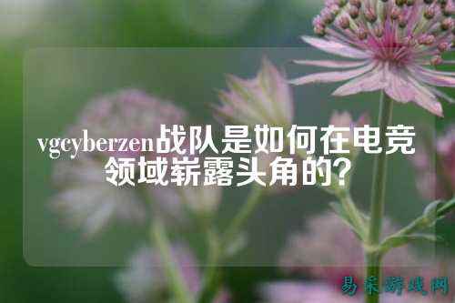 vgcyberzen战队是如何在电竞领域崭露头角的？