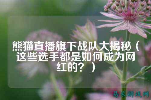 熊猫直播旗下战队大揭秘（这些选手都是如何成为网红的？）
