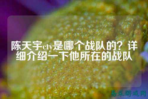 陈天宇cty是哪个战队的？详细介绍一下他所在的战队