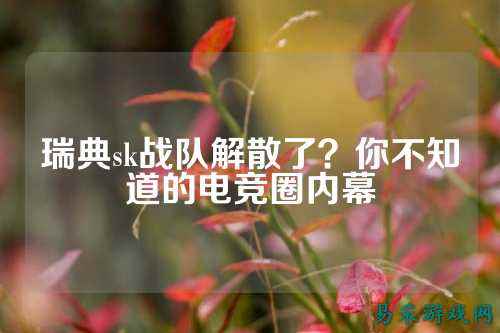 瑞典sk战队解散了？你不知道的电竞圈内幕