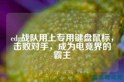 edg战队用上专用键盘鼠标，击败对手，成为电竞界的霸主