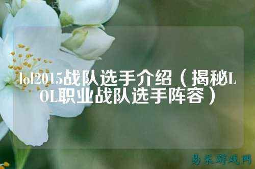 lol2015战队选手介绍(揭秘LOL职业战队选手阵容)
