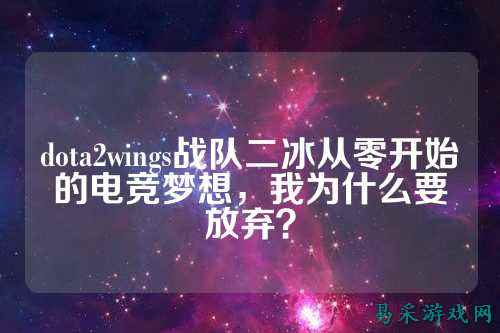 dota2wings战队二冰从零开始的电竞梦想，我为什么要放弃？