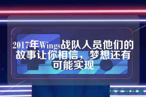 2017年Wings战队人员他们的故事让你相信，梦想还有可能实现