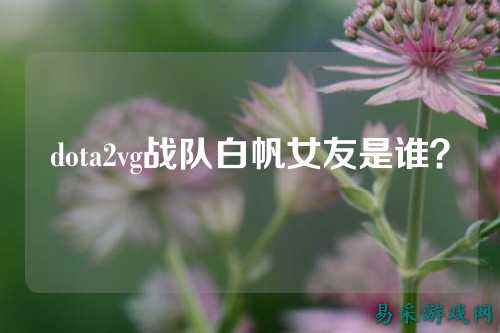 dota2vg战队白帆女友是谁？