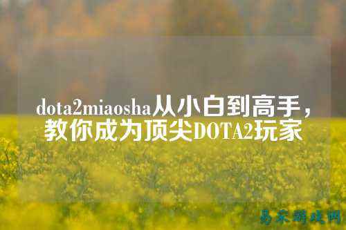 dota2miaosha从小白到高手，教你成为顶尖DOTA2玩家