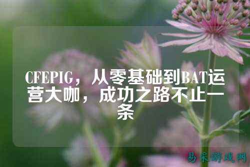 CFEPIG,从零基础到BAT运营大咖,成功之路不止一条