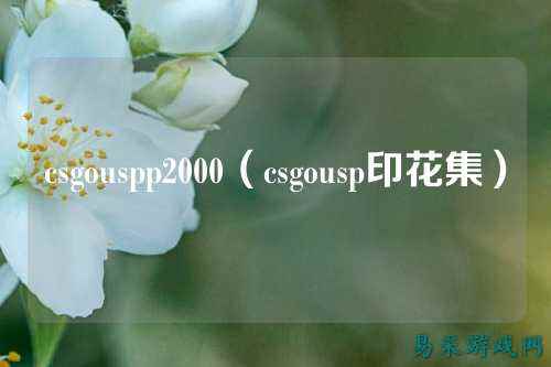 csgouspp2000(csgousp印花集)