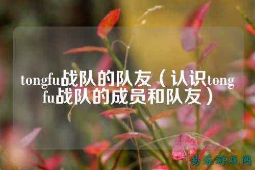 tongfu战队的队友（认识tongfu战队的成员和队友）