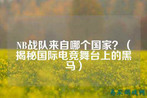 NB战队来自哪个国家？（揭秘国际电竞舞台上的黑马）