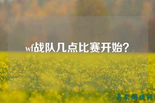 wf战队几点比赛开始？
