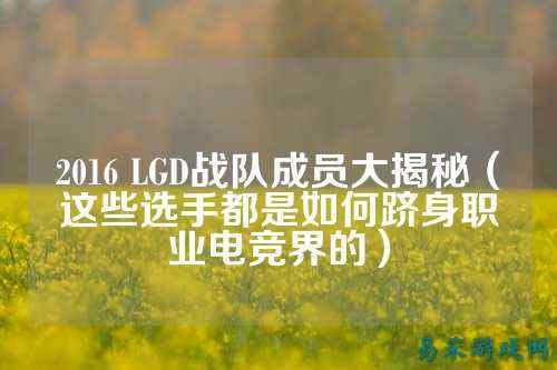2016 LGD战队成员大揭秘（这些选手都是如何跻身职业电竞界的）