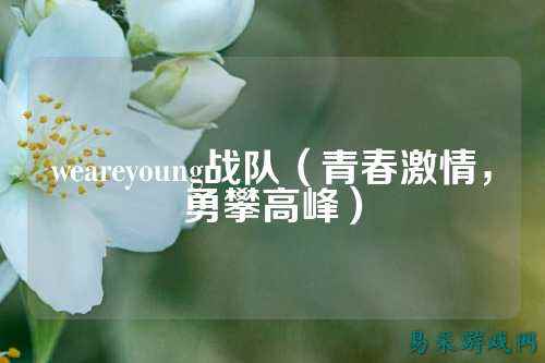 weareyoung战队（青春激情，勇攀高峰）