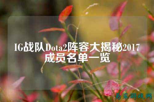 IG战队Dota2阵容大揭秘2017成员名单一览