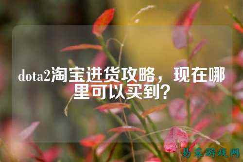 dota2淘宝进货攻略,现在哪里可以买到?