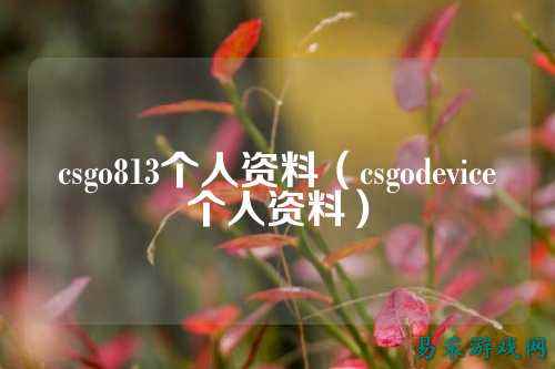 csgo813个人资料（csgodevice个人资料）