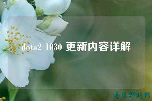 dota2 1030 更新内容详解