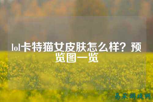 lol卡特猫女皮肤怎么样？预览图一览