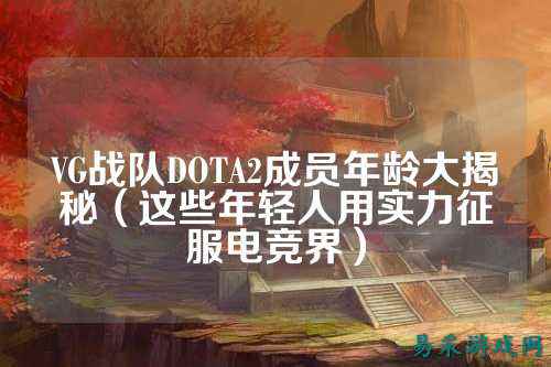 VG战队DOTA2成员年龄大揭秘（这些年轻人用实力征服电竞界）