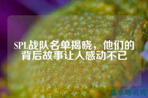 SPL战队名单揭晓，他们的背后故事让人感动不已
