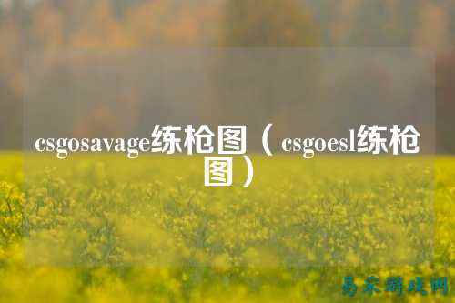 csgosavage练枪图(csgoesl练枪图)