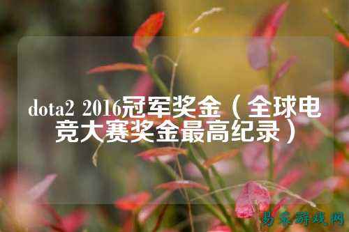 dota2 2016冠军奖金(全球电竞大赛奖金最高纪录)